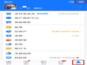 支付宝怎么自定义皮肤壁纸。