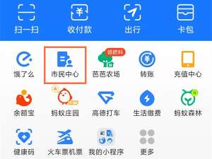支付宝怎么查询身份证办理进度。
