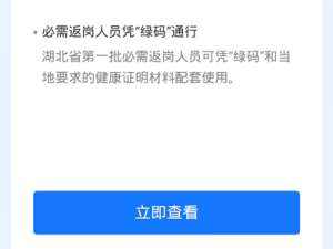支付宝如何查孩子的健康码 支付宝如何查孩子的消费
