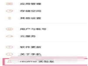 真我GT2Pro在什么地方设置DC调光。