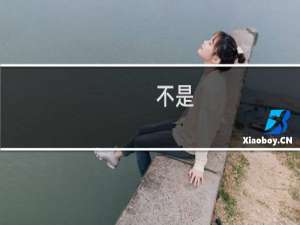 (不是)是什么意思什么梗