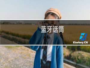 ,蓝牙话筒