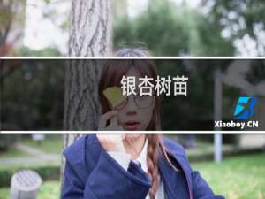 ,银杏树苗