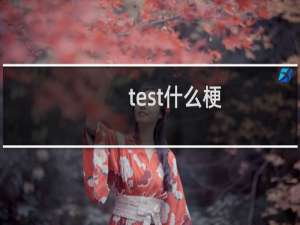 /test什么梗