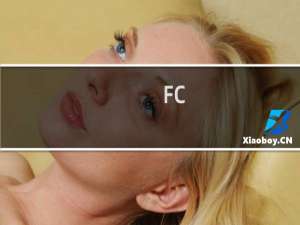 [FC]水浒传-天命之誓(日版)模拟器游戏经验分享