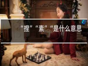 “捏”“素”“是什么意思？什么梗