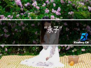 “永子”（隆阳区特产）