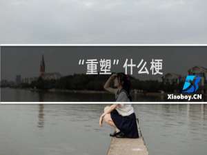 “重塑”什么梗