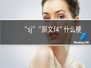 “sj”“厕文f4”什么梗