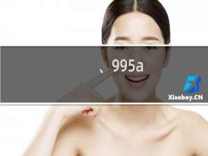 、995a.com网站打不开