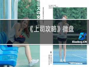 《上司攻略》微盘
