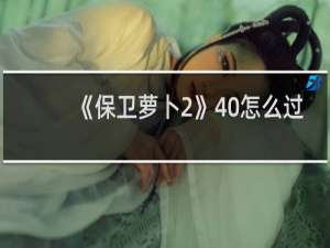 《保卫萝卜2》40怎么过