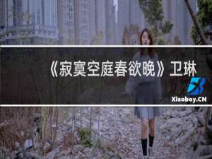 《寂寞空庭春欲晚》卫琳琅历史原型，她是个怎样的人？