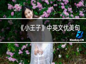 《小王子》中英文优美句子摘抄