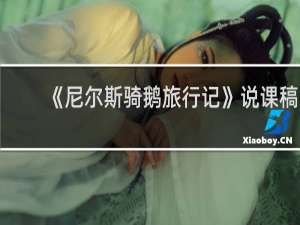 《尼尔斯骑鹅旅行记》说课稿