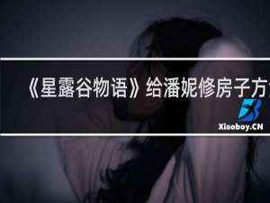 《星露谷物语》给潘妮修房子方法