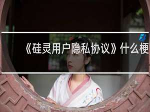 《硅灵用户隐私协议》什么梗