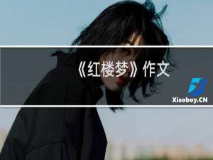 《红楼梦》作文