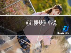 《红楼梦》小说