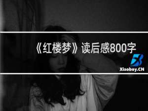 《红楼梦》读后感800字