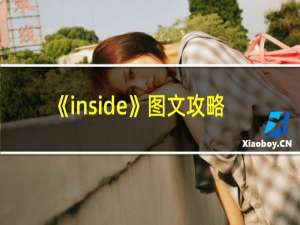 《inside》图文攻略