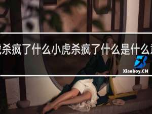 【小虎杀疯了什么小虎杀疯了什么是什么意思什么梗