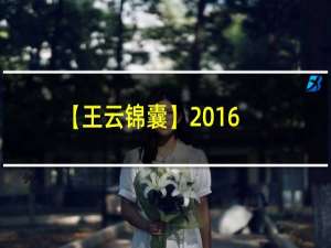 【王云锦囊】2016年是猴子的幸运吉祥物