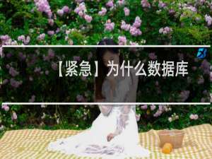 【紧急】为什么数据库突然访问不了