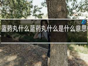 【蓝药丸什么蓝药丸什么是什么意思什么梗