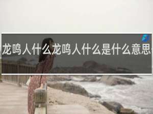【龙鸣人什么龙鸣人什么是什么意思什么梗
