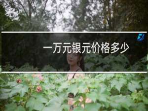 一万元银元价格多少