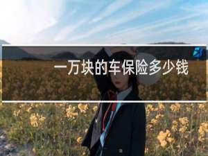 一万块的车保险多少钱
