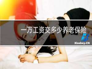 一万工资交多少养老保险