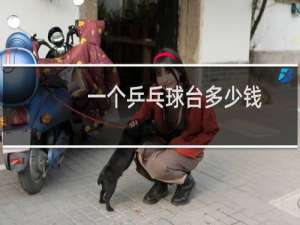 一个乒乓球台多少钱