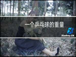 一个乒乓球的重量