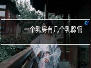一个乳房有几个乳腺管