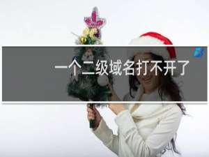 一个二级域名打不开了，提示域名解析错误