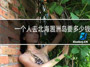 一个人去北海涠洲岛要多少钱
