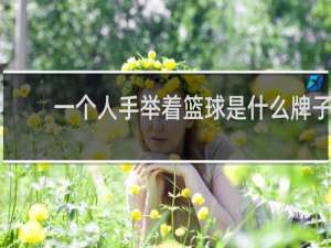 一个人手举着篮球是什么牌子