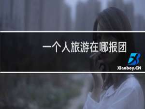 一个人旅游在哪报团