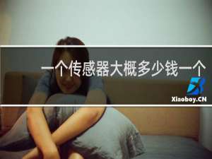 一个传感器大概多少钱一个