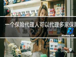 一个保险代理人可以代理多家保险吗