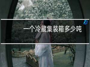 一个冷藏集装箱多少吨