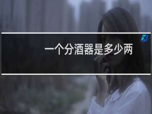 一个分酒器是多少两