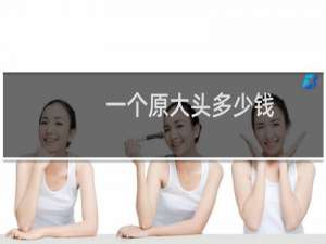 一个原大头多少钱