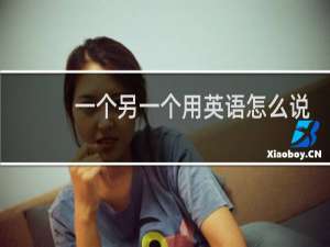 一个另一个用英语怎么说