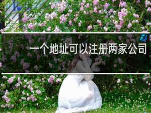 一个地址可以注册两家公司