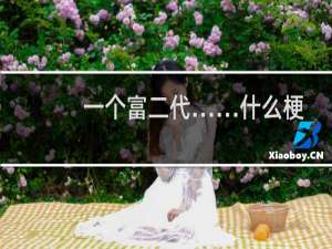 一个富二代……什么梗