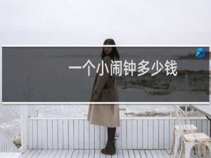 一个小闹钟多少钱