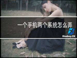 一个手机两个系统怎么弄